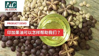 AL-LECCA  - 喝印加果油真的有效吗？Does drinking sacha inchi oil really effective?