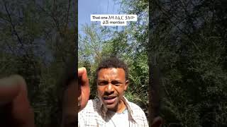እዛ ሰፈርየለው ልጅ....#shorts #habeshatiktok  #ethiopia #abrelohd  #tiktok #amharic
