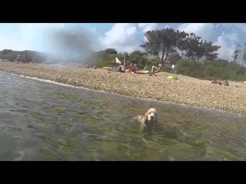 Rosie and Jo take a dip