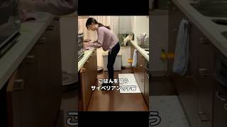 ごはんが待ちきれないサイベリアンの子猫 #子猫 #サイベリアン #shorts