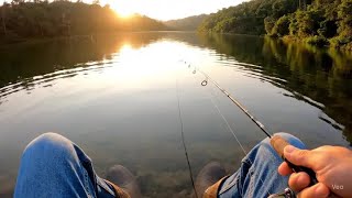 Check what I caught when fishing #Fishing Skills #Cute Pets #Magical Animals on Douyin (TikTok)