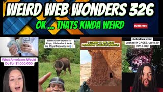 weird web wonders 326