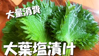大葉レシピ♪大葉の塩漬けの作り方