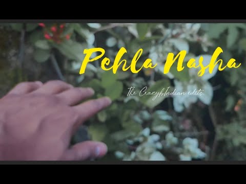 Easiest Cinematic video idea  from your phone// @Pehla Nasha (Indianlofi) // theCrazyIndian.