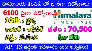 10th Inter Based Jobs In Himalaya Company || Himalaya Company Jobs || Latest Jobs In Telugu