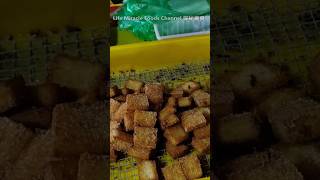 炸萝卜糕槟城夜市场小吃街头美食 Penang Night Market Street Food #马来西亚槟城 #槟城美食 #夜市