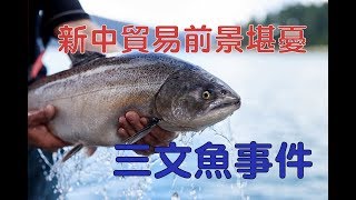 新西兰《新闻今日谈》15022019 | 新西兰华人电视 World TV