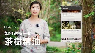 如何選擇一瓶茶樹精油？茶樹精油的品質鑑別 ｜赫本的秘密 Herbs' Secrets