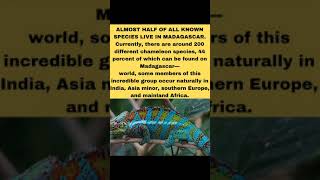 facts shorts video #shorts