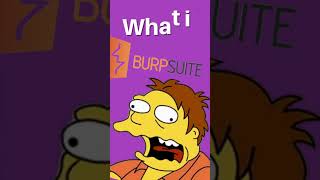 What is Burp Suite?
