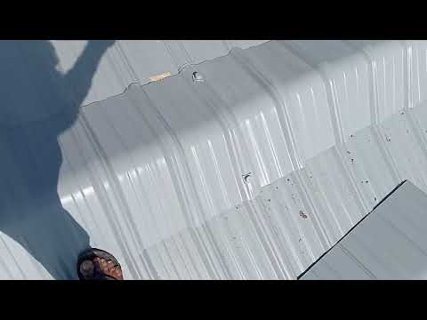 60x68 Vetjet Pharma Industry, Upvc Roofing Sheet Installation, Quality Roofings KUMTA 8105805477
