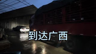 有多少卡友晚上是這樣想的：貨運行業真的爛透了，價格太低了
