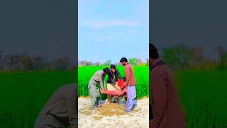 ya rabi Mustafa #youtubeshorts #viral #trending #salarahmed #shortsfeed #shorts #short #trend