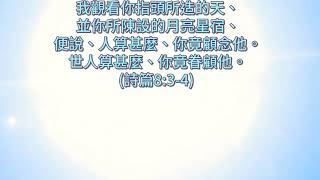 【星海盡處】粵語詩歌 #原創 #創造 #太空望遠鏡 #面紗星雲