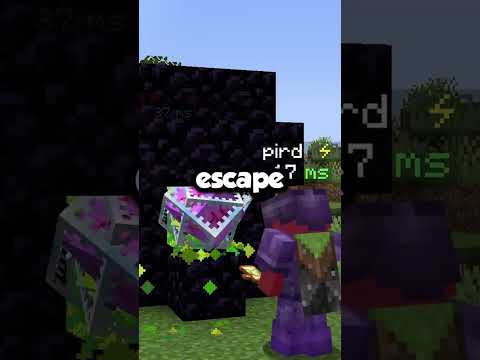 How to survive any teleport trap in Minecraft!