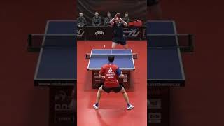 Absolutely INSANE Table Tennis Defense from Yang Wang ! #tabletennis #defence #proplayer