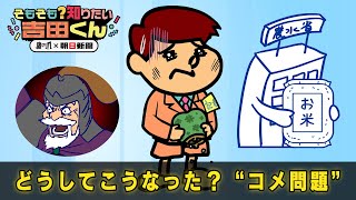 コメ問題どうしてこうなった　政府が放出した備蓄米ってどんなコメ？【鷹の爪×朝日新聞】
