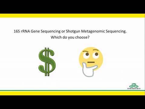 16S rRNA vs. Shotgun Metagenomic Sequencing: How to Choose the Right Approach
