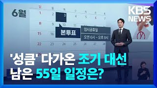 6월 3일 제21대 대선…공식 선거운동 5월 12일부터 / KBS  2025.04.09.