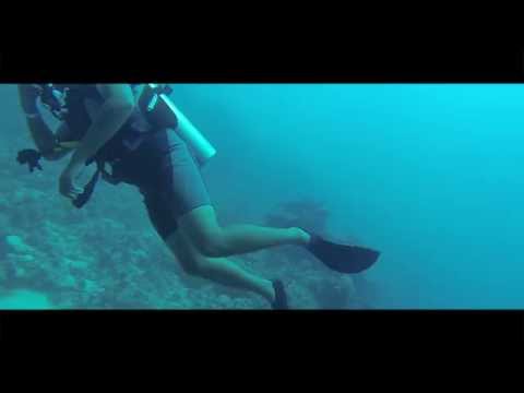 GoPro: Oceans