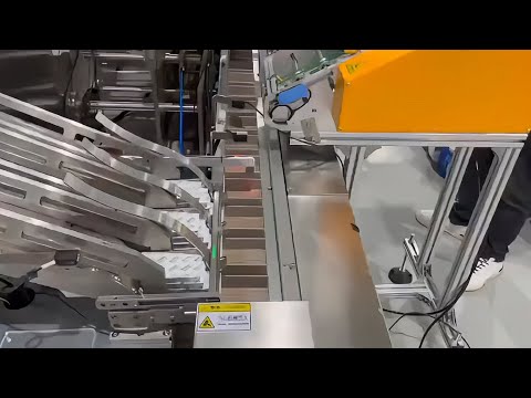 How Vape Pods Are Packed: Blister Feeding, Cartoning, Labeling & Film Sealing!