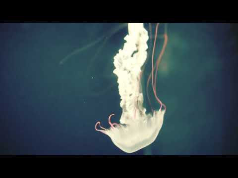 Beautiful Mind relaxing session to keep calm and silent