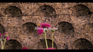 European Union Circular Economy Garden at Bord Bia Bloom 2025 - Dublin