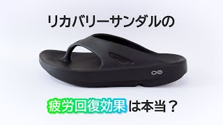 【OOFOS】普通のサンダルと何が違う？リカバリーサンダルをビーサン、スニーカーと比較レビュー