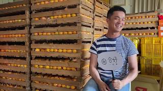 合好一起錸 x 環境友善店家-寶香柑桔