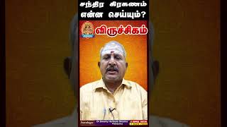 Chandiragrahanam tharum Palangal || Viruchigam Rasi || சந்திரகிரஹணம் || விருச்சிகம் ராசி