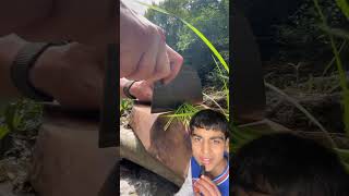 Forestry life making salmon #viralvideo #salmon #food#nature