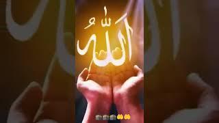 ve #tweegram #instagood #bestoftheday #instacool #instago #all_shots #🤲🤲🤲🤲