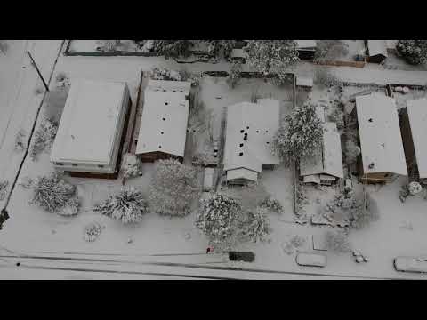 Snow 2/9 Morning