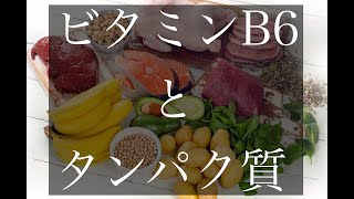 米国抗加齢医学専門医が教える【ビタミンB6とタンパク質】Vitamin B6 and protein