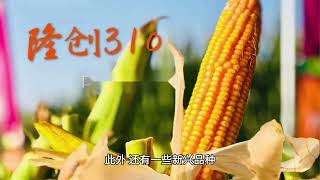 什么是商品期货