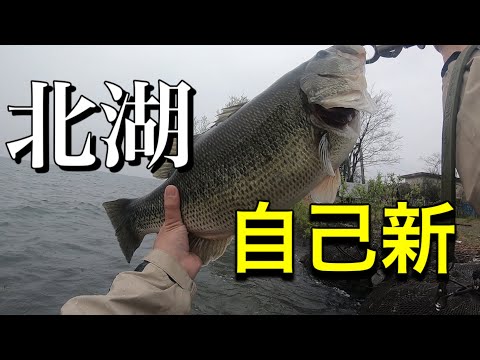 【サカ6】激ムズ有名ポイントだが開始すぐにモンスター釣る男