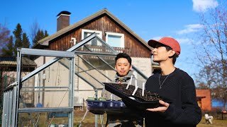 The Spring Life of an Asian Family in Rural Finland | Growing Food in Our Yard