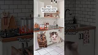 CAT MEMES 🐱Showering in winter with no hot water #catmemes #relatable #relationship