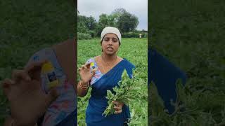 vangathota