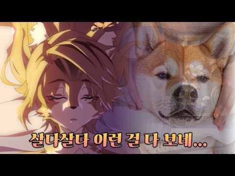 [ZZZ] 서브컬쳐 하면서 이런 경험은 처음입니다 - 젠레스 존 제로 펄크라 PV 일,영,한 더빙 리액션