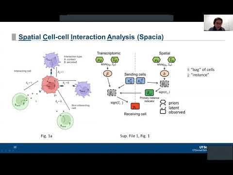 Mapping cellular interactions from spatially resolved transcriptomics data