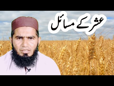 Ushar k masail | عشر کے مسائل | Molana Farooq jamel Sahab By Bin Ata Media