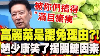 【全程字幕】高麗菜"也是罷免理由"?!罷團高喊"小小多山愛台灣" 趙少康一聽笑了酸嗆:但被你們搞得"滿目瘡痍"