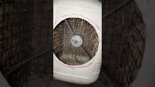 12v dc cooler for home   #cooler #dc #12vmotor