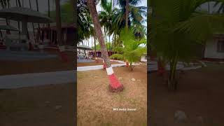 Beautiful place in Kannur, Kerala State, Arabian Sea,,🌊,,## BRS media channel, short video