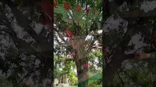 #景点打卡 #举起手来拍摄地