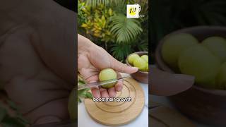 Amla for hair growth | amla juice for hair fall control| amla benefits for hair