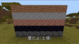 ニセ淫夢語録集（マイクラ）