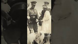 Canadian War Hero Dog
