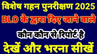 विशेष गहन पुनरीक्षण 2025 के दौरान BLO. के द्वारा कौन से रिपोर्ट देने है, देखें और सही सही भरें